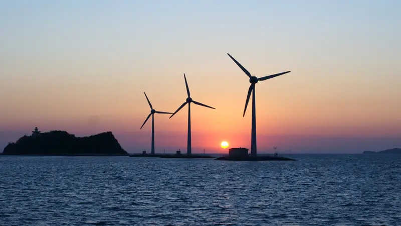 Case study: offshore wind assets