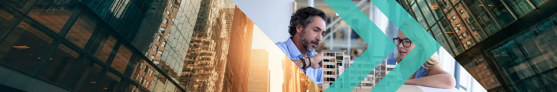 Built Environment & Infrastructure Risk Management Services