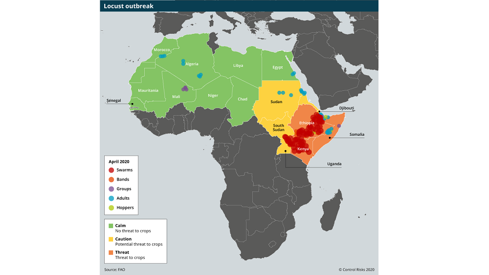 Africa locust breakout