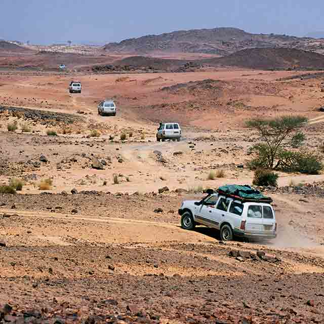 Automotive Expert Brief: Algeria