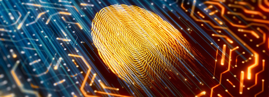 China technology and data regulations: A changing environment for international firms