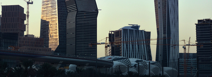 Chinese dragon and Saudi camel: primarily an economic match