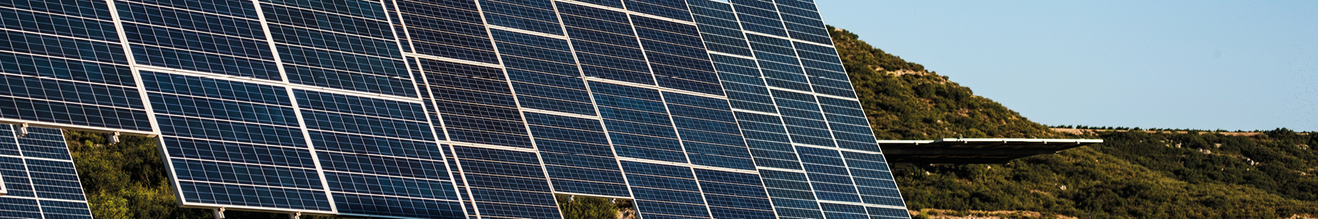 COP27: Four implications for your business