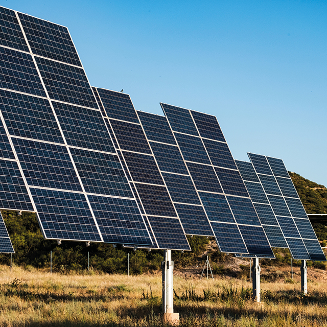 COP27: Four implications for your business