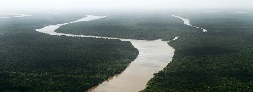 COP30: strategic risks and realities for business