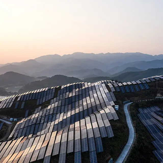 Developed Asia: risks and opportunities for investors