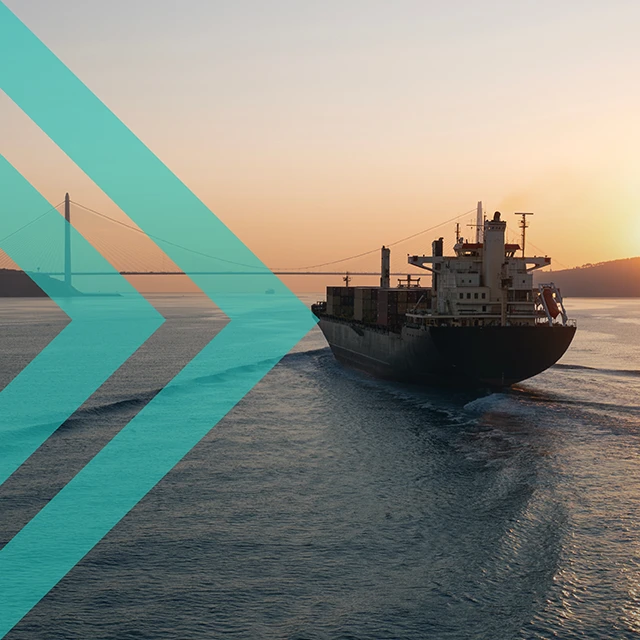 Feature, not bug: disruption to global shipping