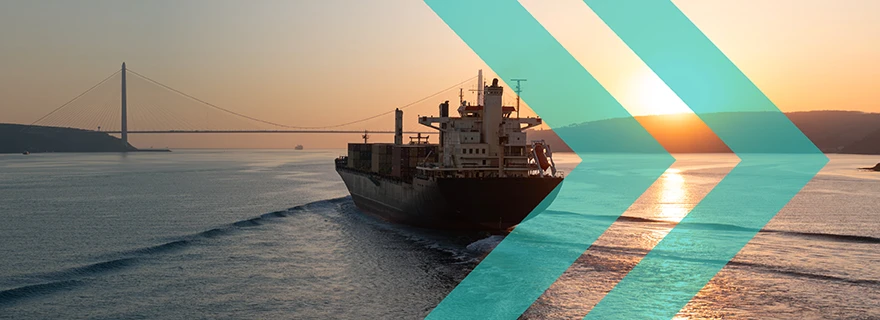 Feature, not bug: disruption to global shipping