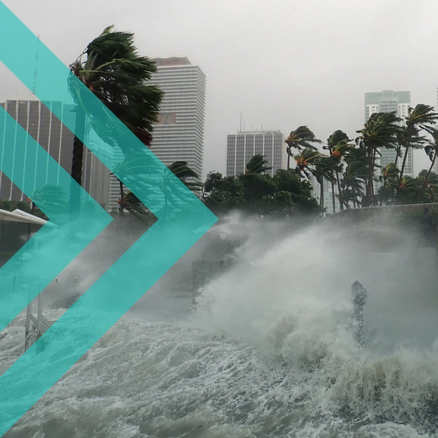 From the first 24 hours to recovery: Disaster response lessons