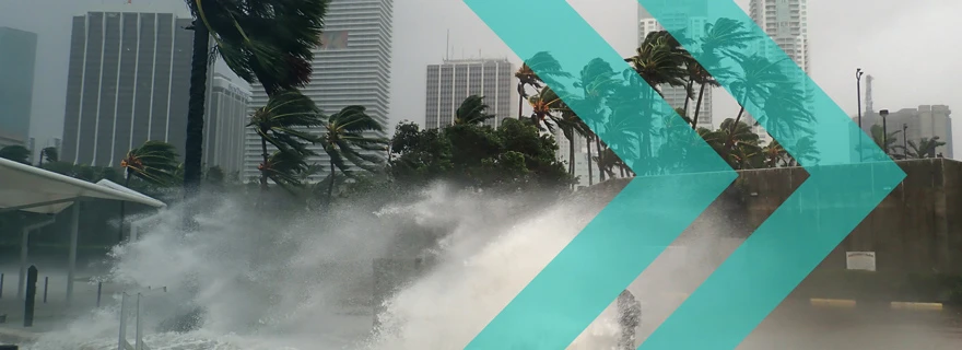 From the first 24 hours to recovery: Disaster response lessons