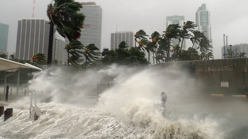 From the first 24 hours to recovery: Disaster response lessons