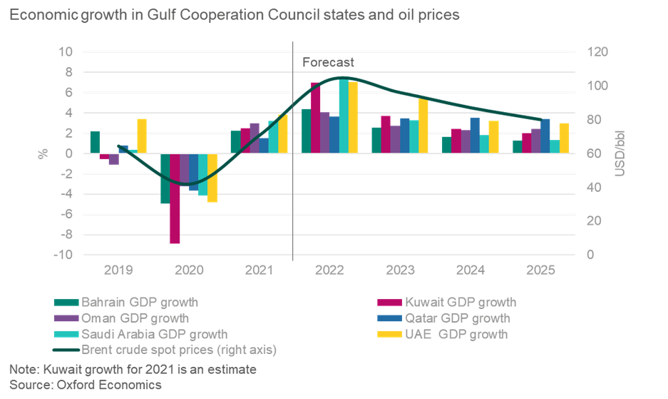 Gulf Arab states commit to privatisation on path to economic diversification