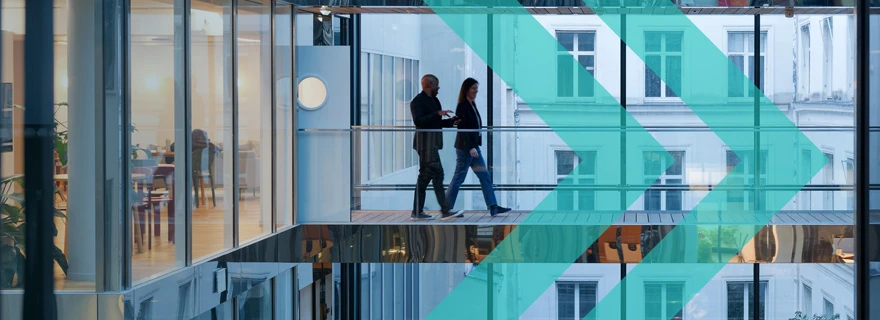 Global due diligence programme