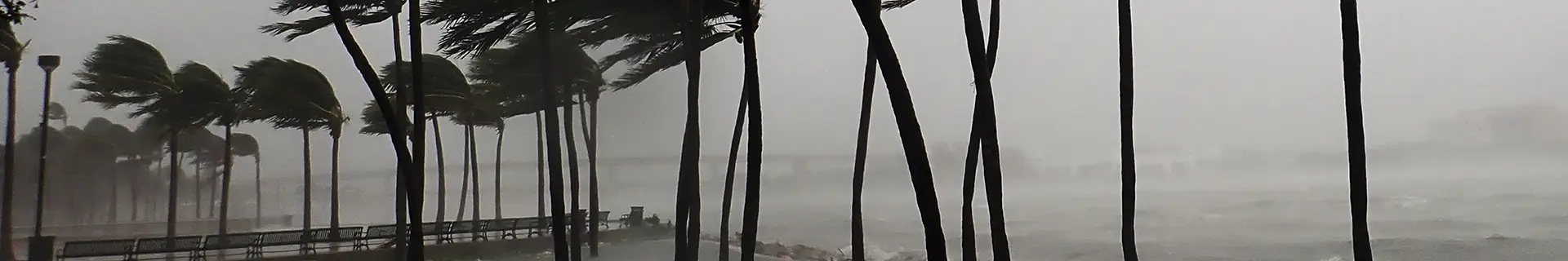 Hurricane season 2025: business readiness and continuity