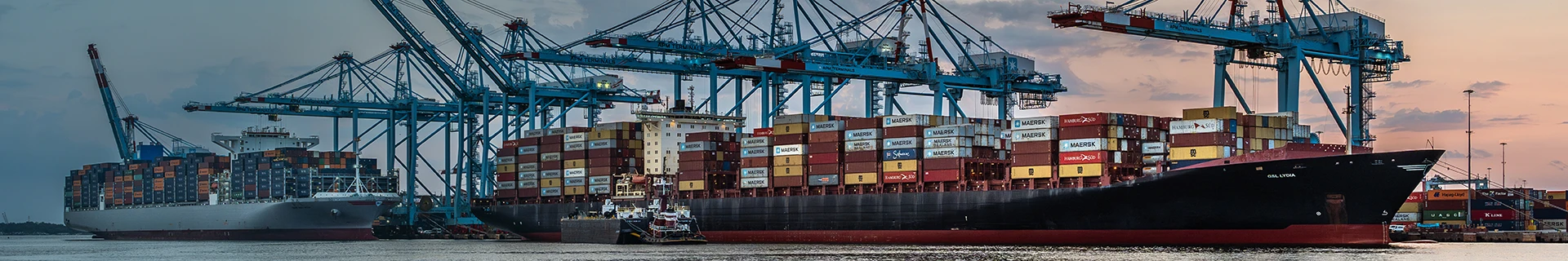 What the Latest CFIUS Signals Mean for Global Investors 