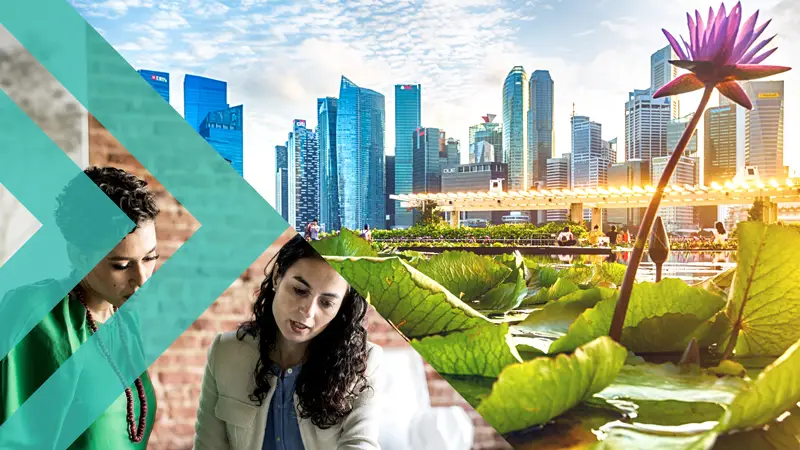 Sustainability report