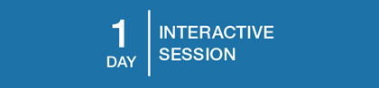 1 day interactive session