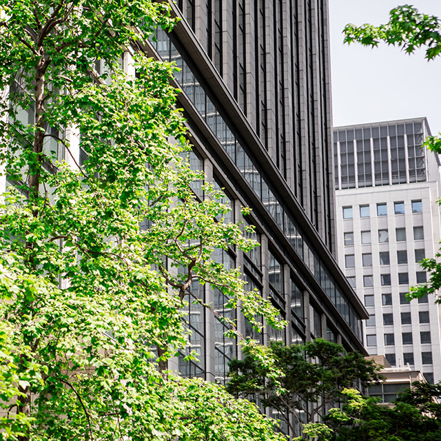 Navigating the ESG ecosystem