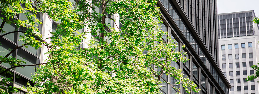 Navigating the ESG ecosystem